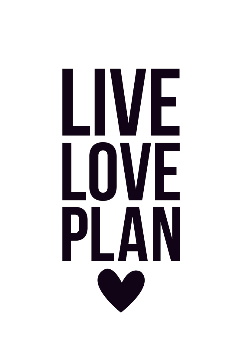 Small Planner Decal - Live Love Plan